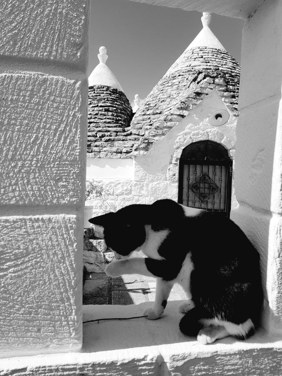 Trulli Aurasia Ostuni Extérieur photo